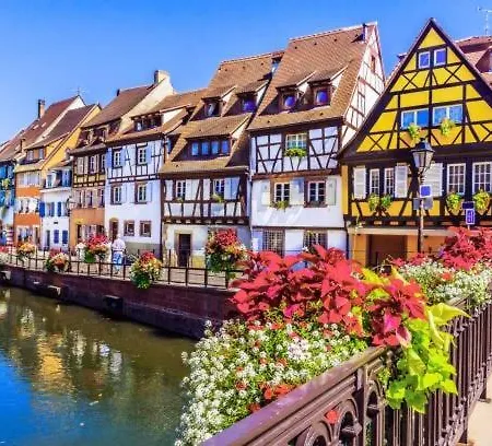 - Center - La Roseraie *